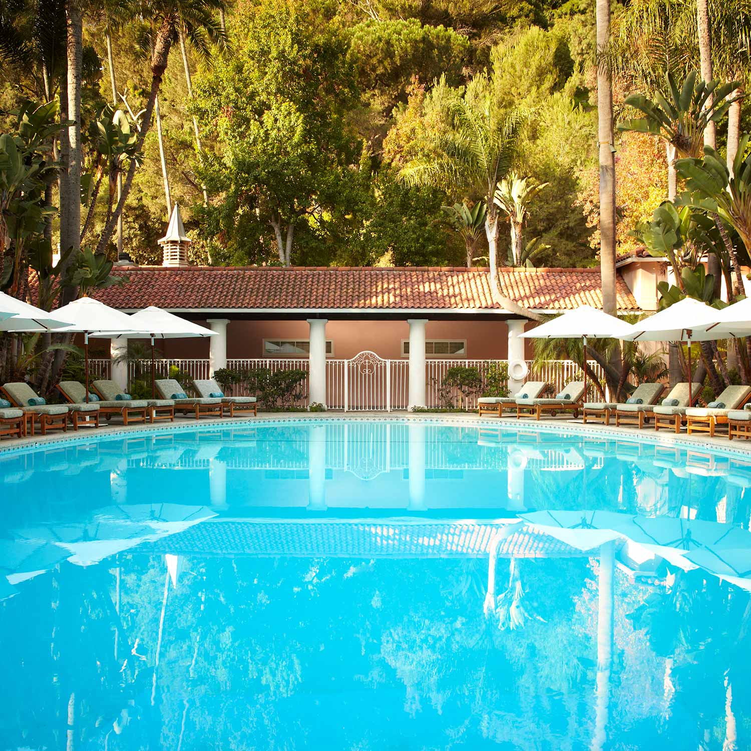Discover Diamond Club — Dorchester Collection
